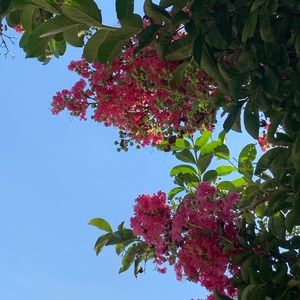 Meet your Posher, Er